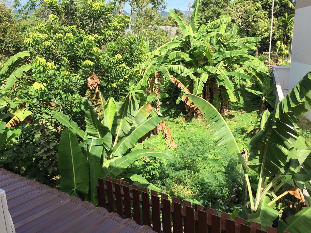 Samui Paca Place Mae Nam Dış mekan fotoğraf